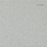 0303;2001GT30;116549;502NN;F.jpg