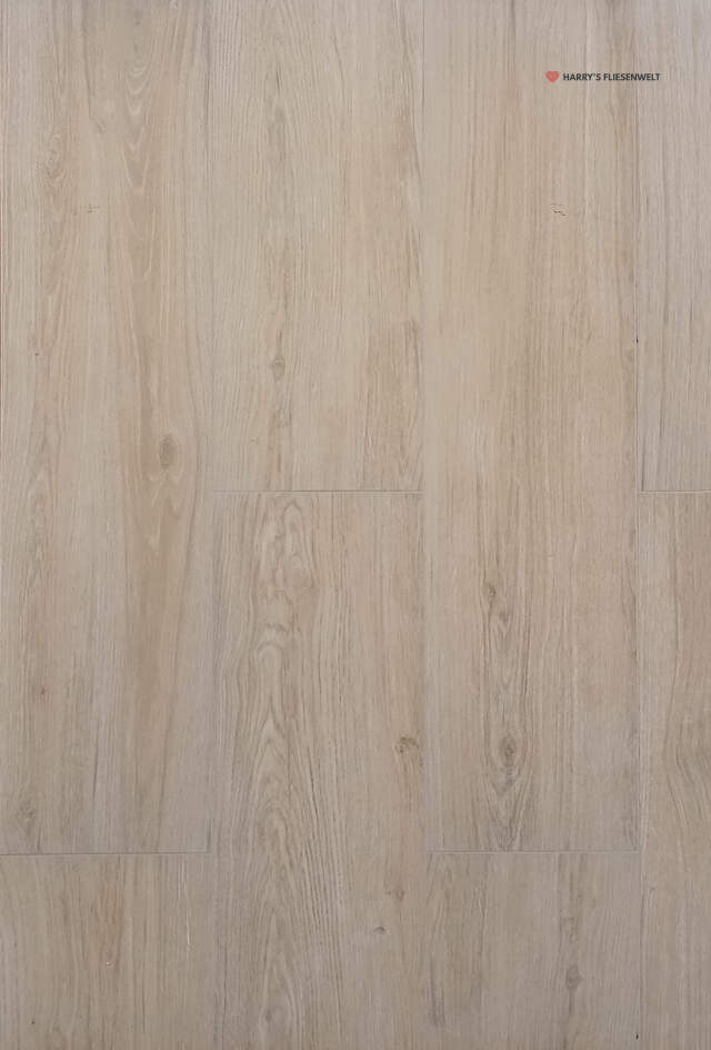 sn_003095.jpg