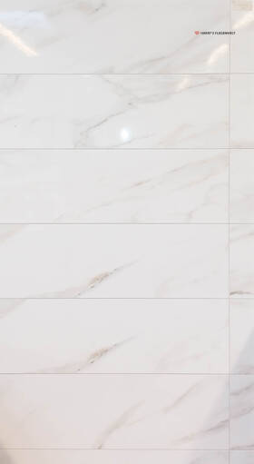 no image found