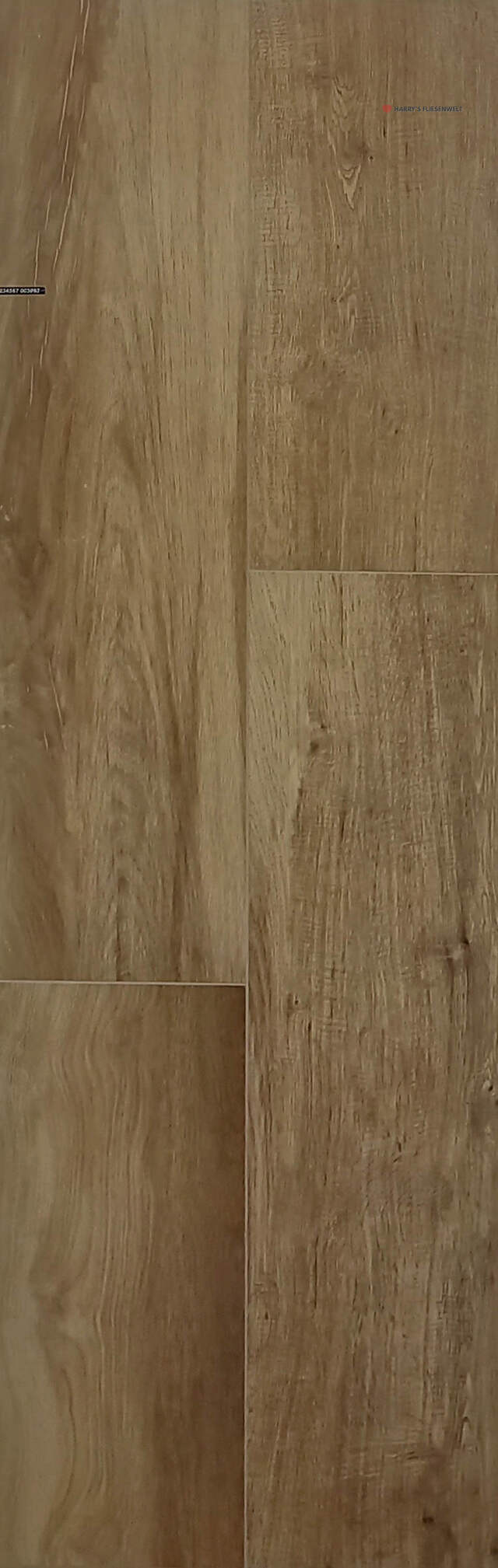 LG_003093.jpg