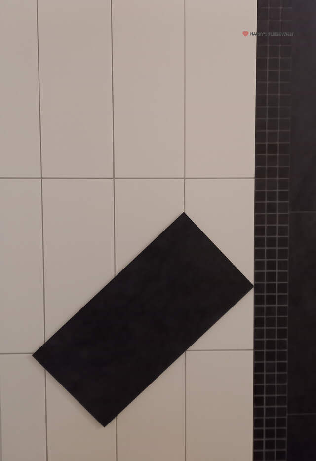 lwGv4X