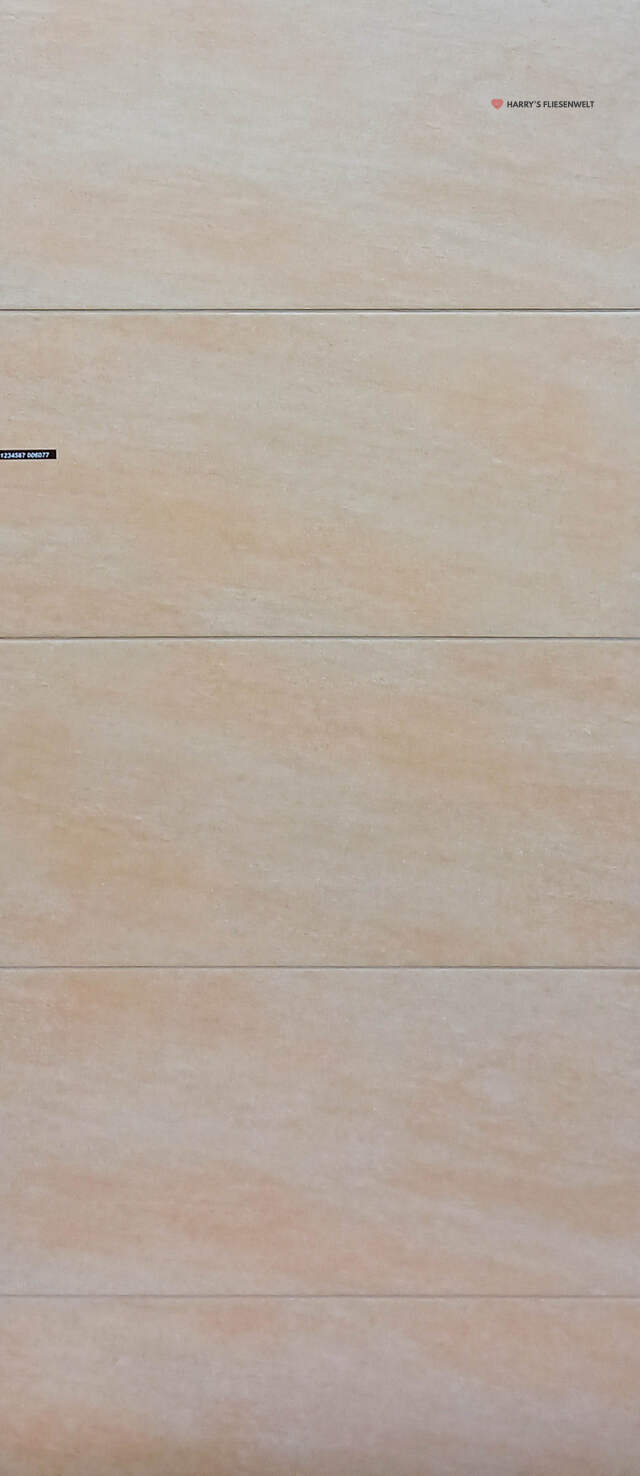 LG_006077.jpg