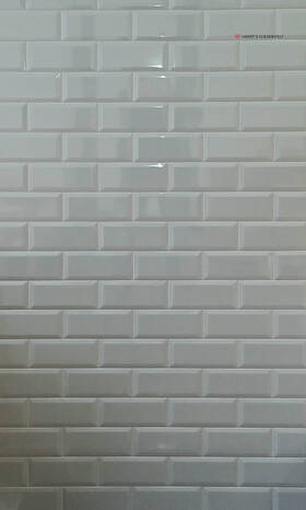 no image found