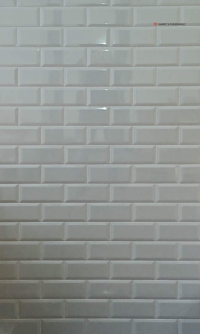 nBXJS5
