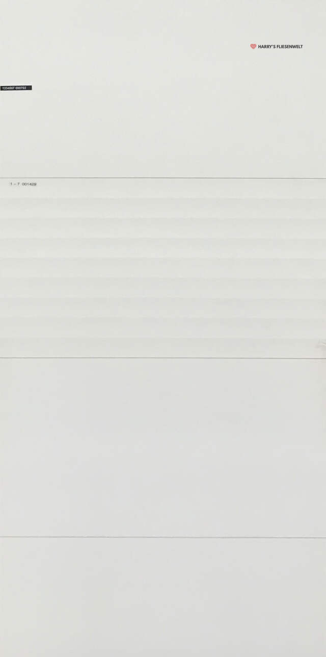 LG_000702.jpeg