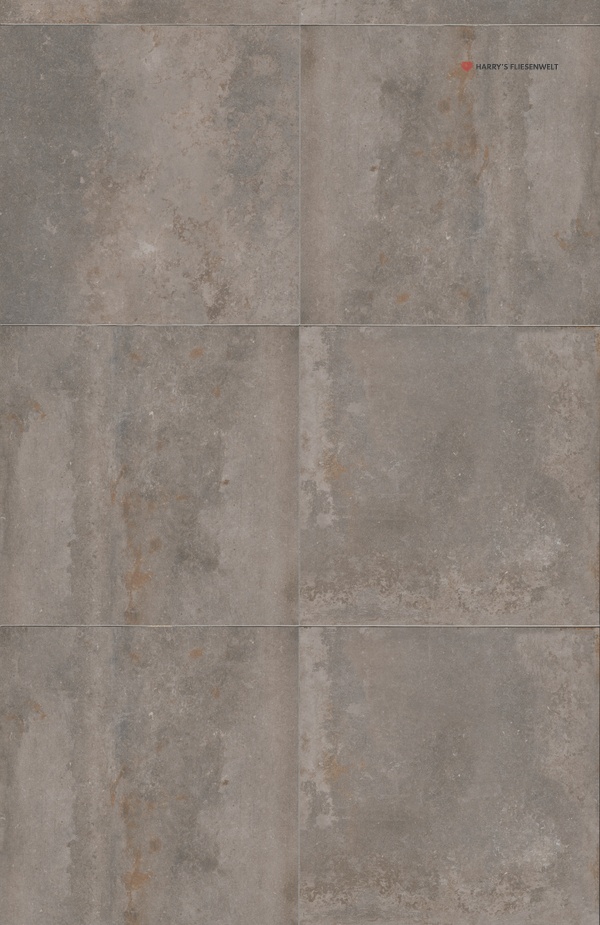 AI02ds
