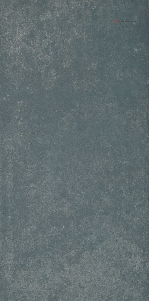 FLiGSW