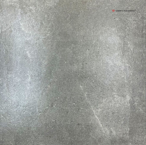 GivOnc