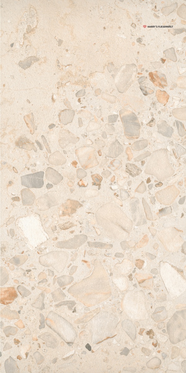 ZinNsq