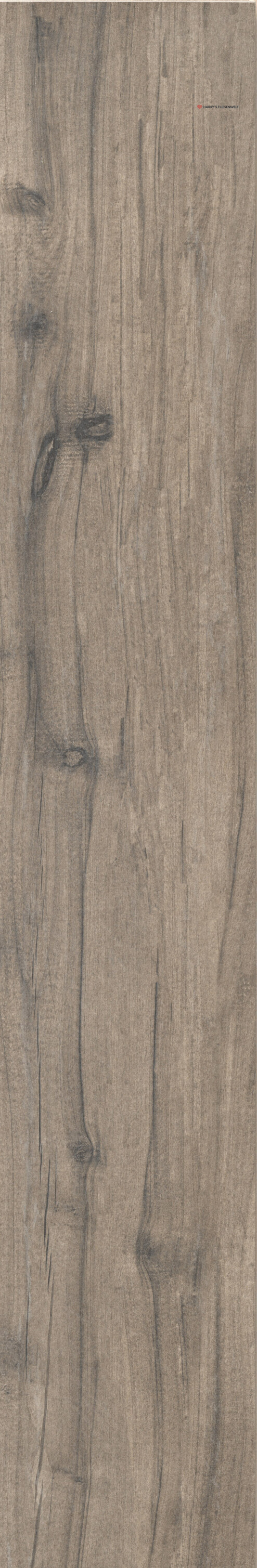 bdVhi8