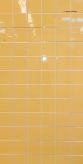 no image found