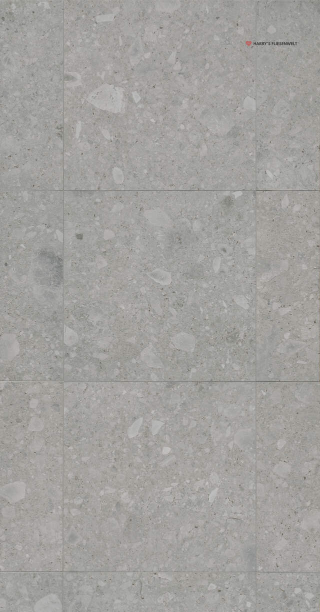 6c6L59