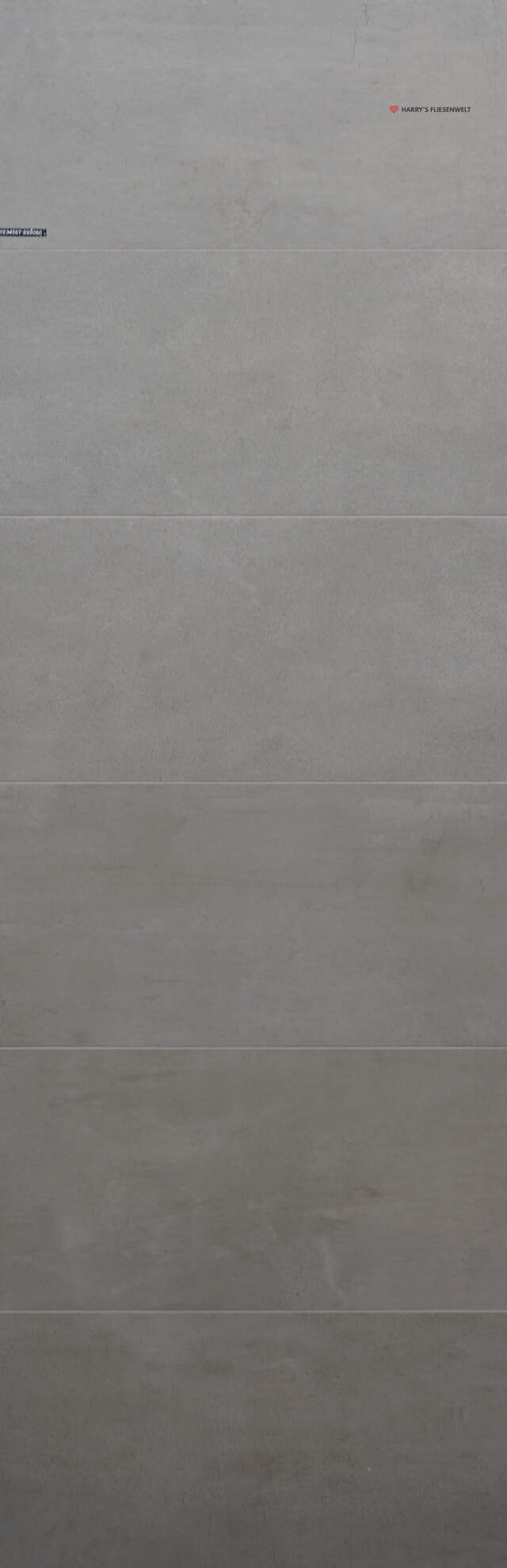 Fndq81