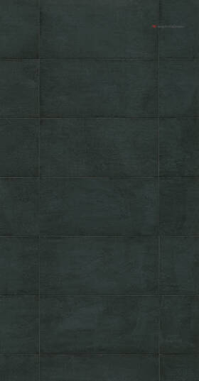no image found