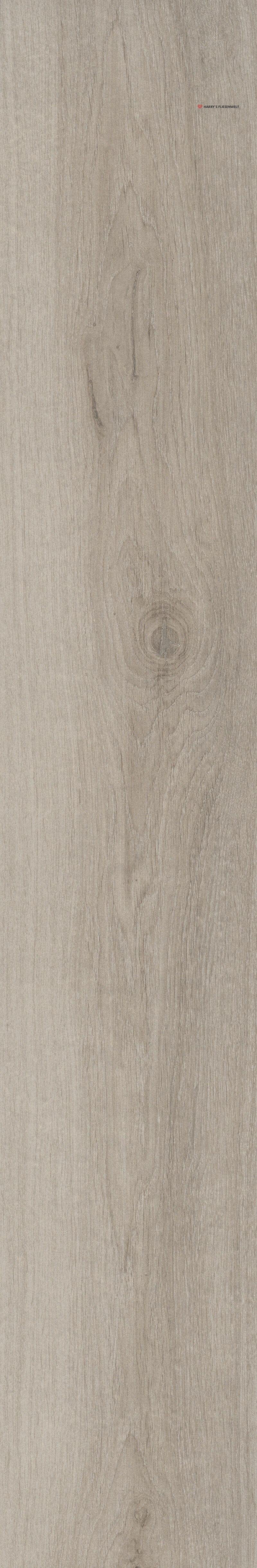 HH-STPL-T110-0004938,542,3,4,1,1,1,2;.jpg
