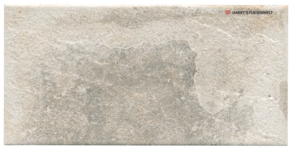 pAoLTM