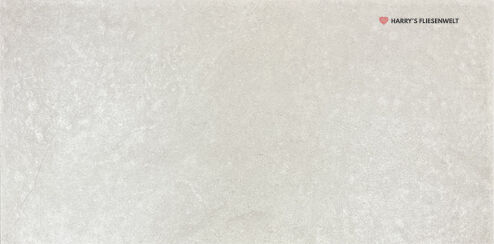 we36iv 004904.jpg